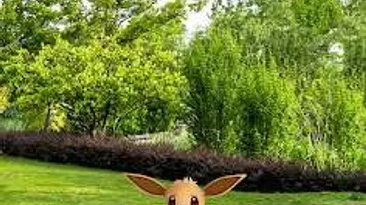 Pokemon GO screenshot 2